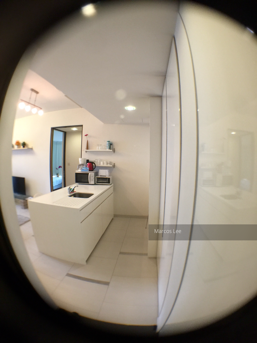 Newton Suites (D11), Apartment #114057502